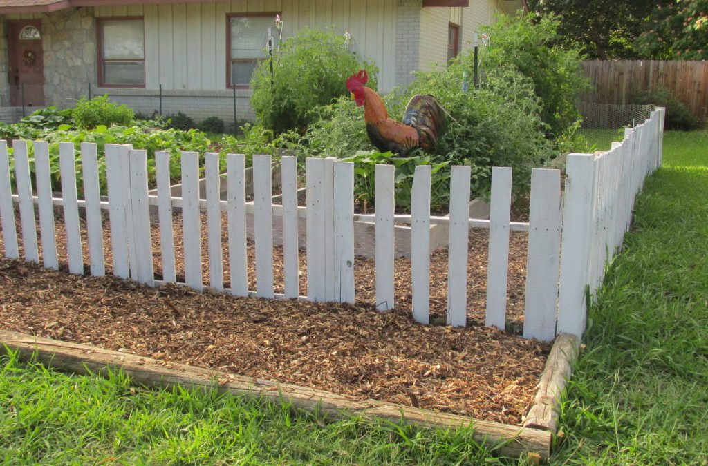 Dealing with city ordinances for my front yard garden : the dance