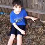Cam with rabbits 2011