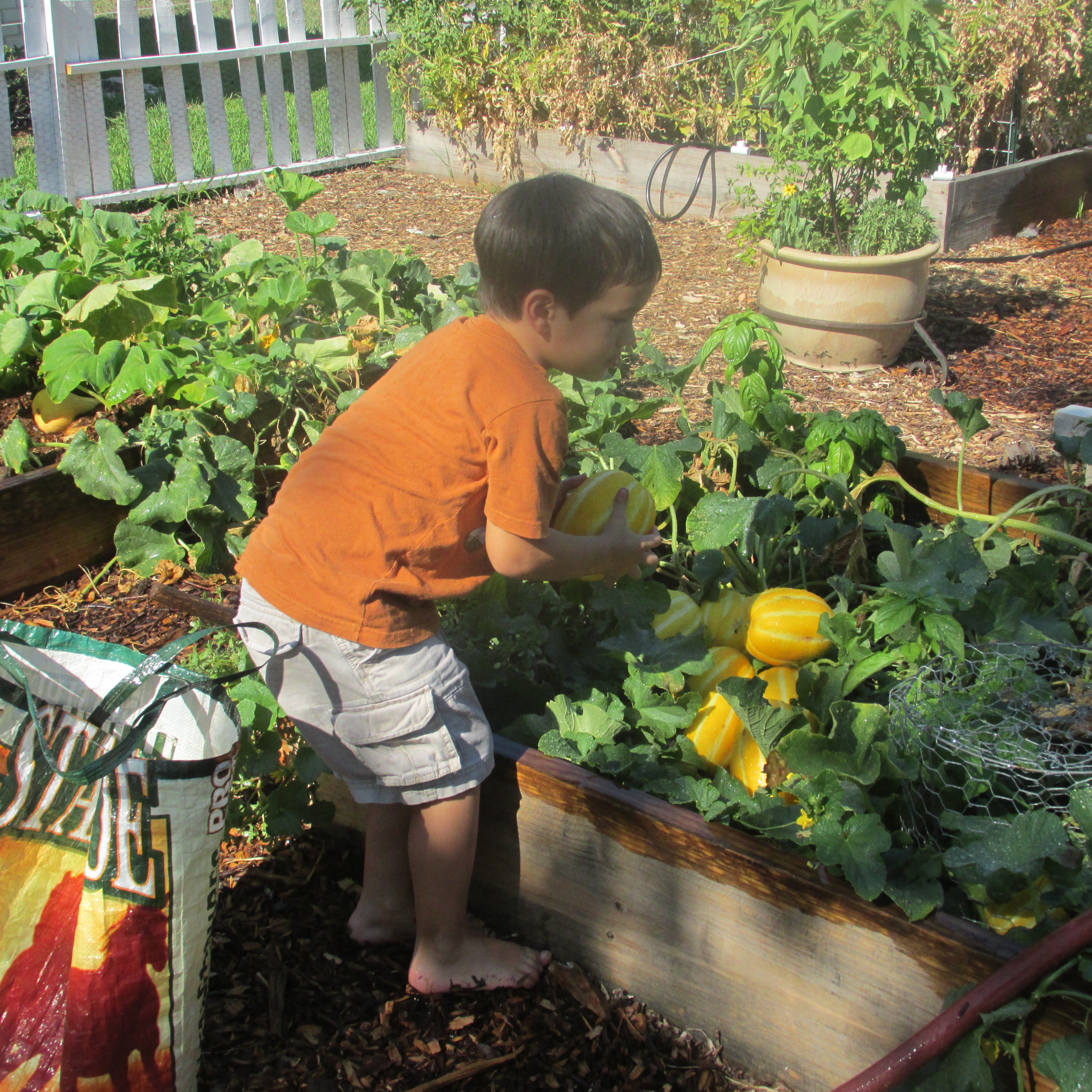 How to Get Your Kids Interested in Gardening With You!