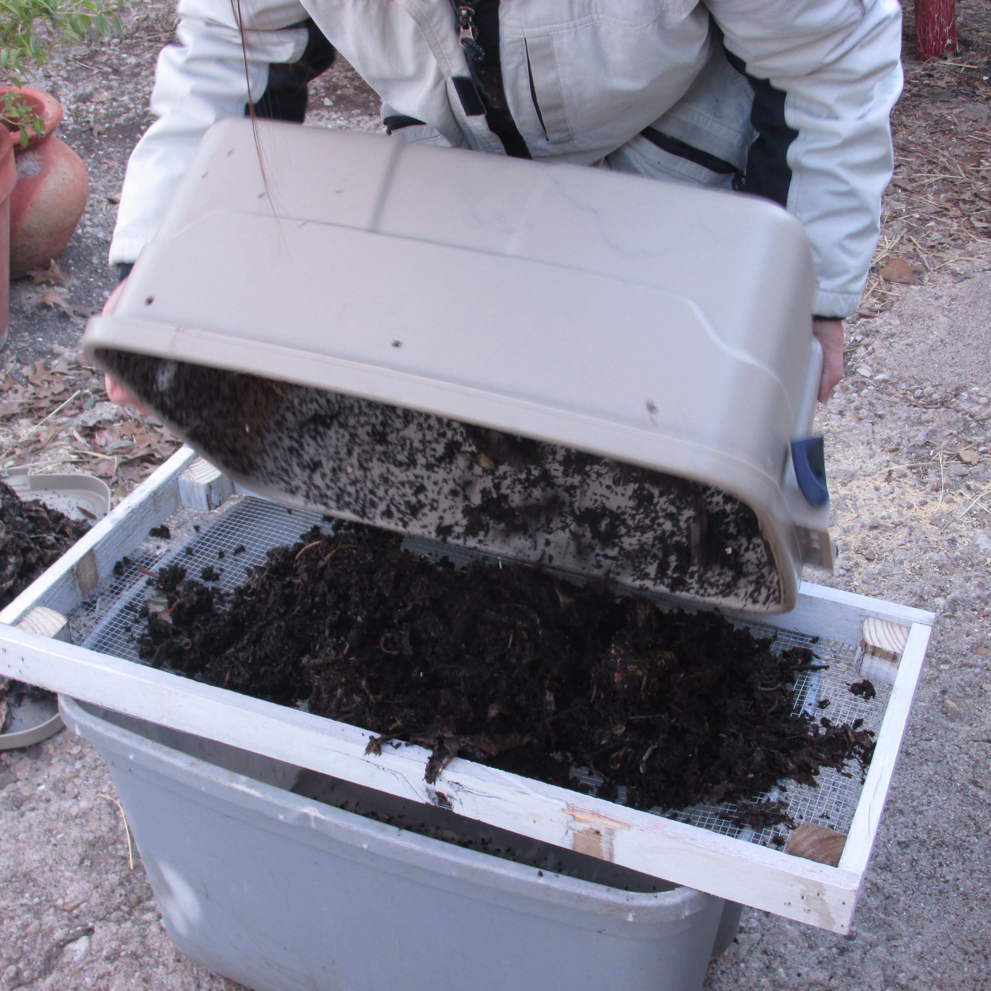Panning for “Black Gold”; 4 Ways to Harvest Your Vermicomposting Bin.