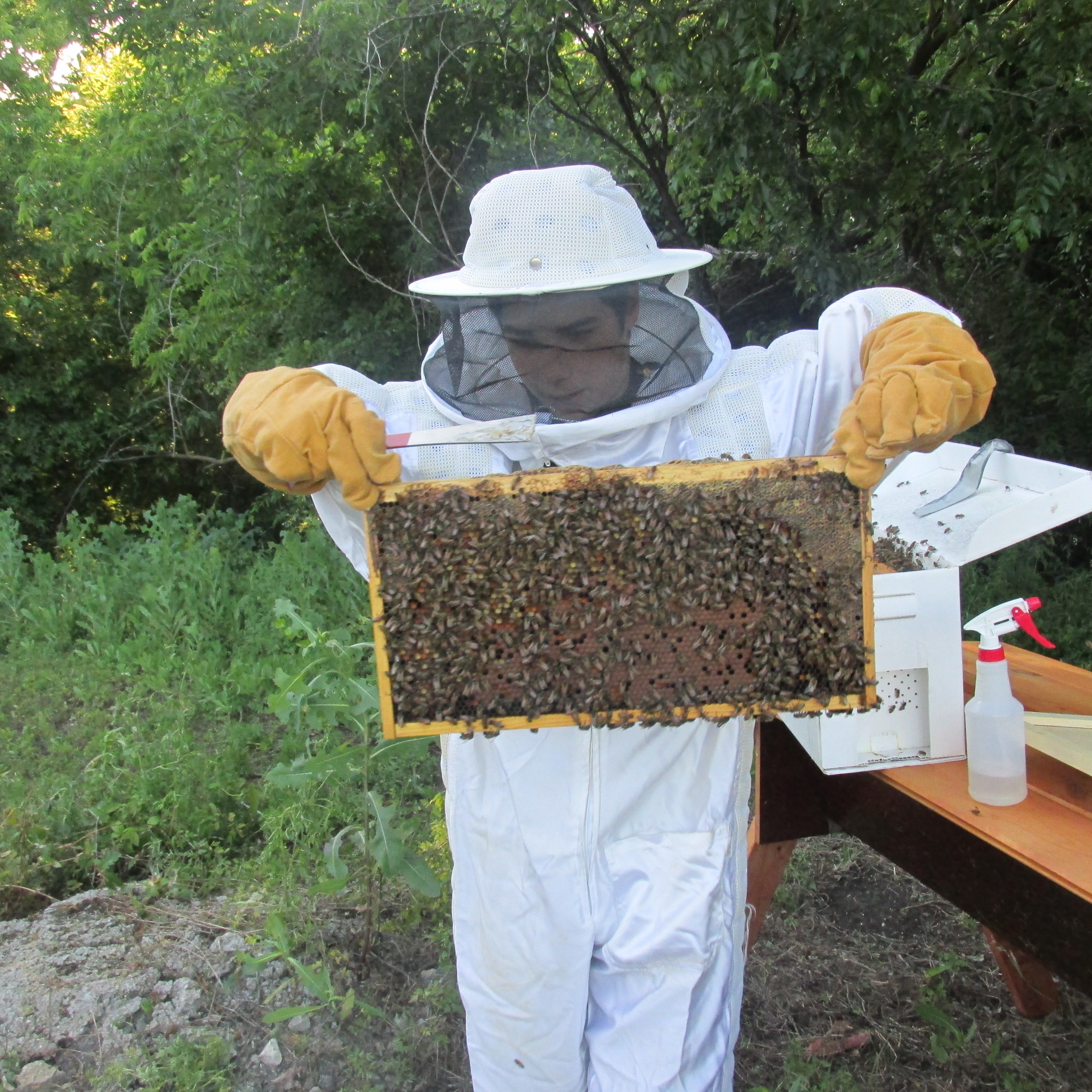 We are Bee Keepers! See the Start of Our “Newbee” Adventure!