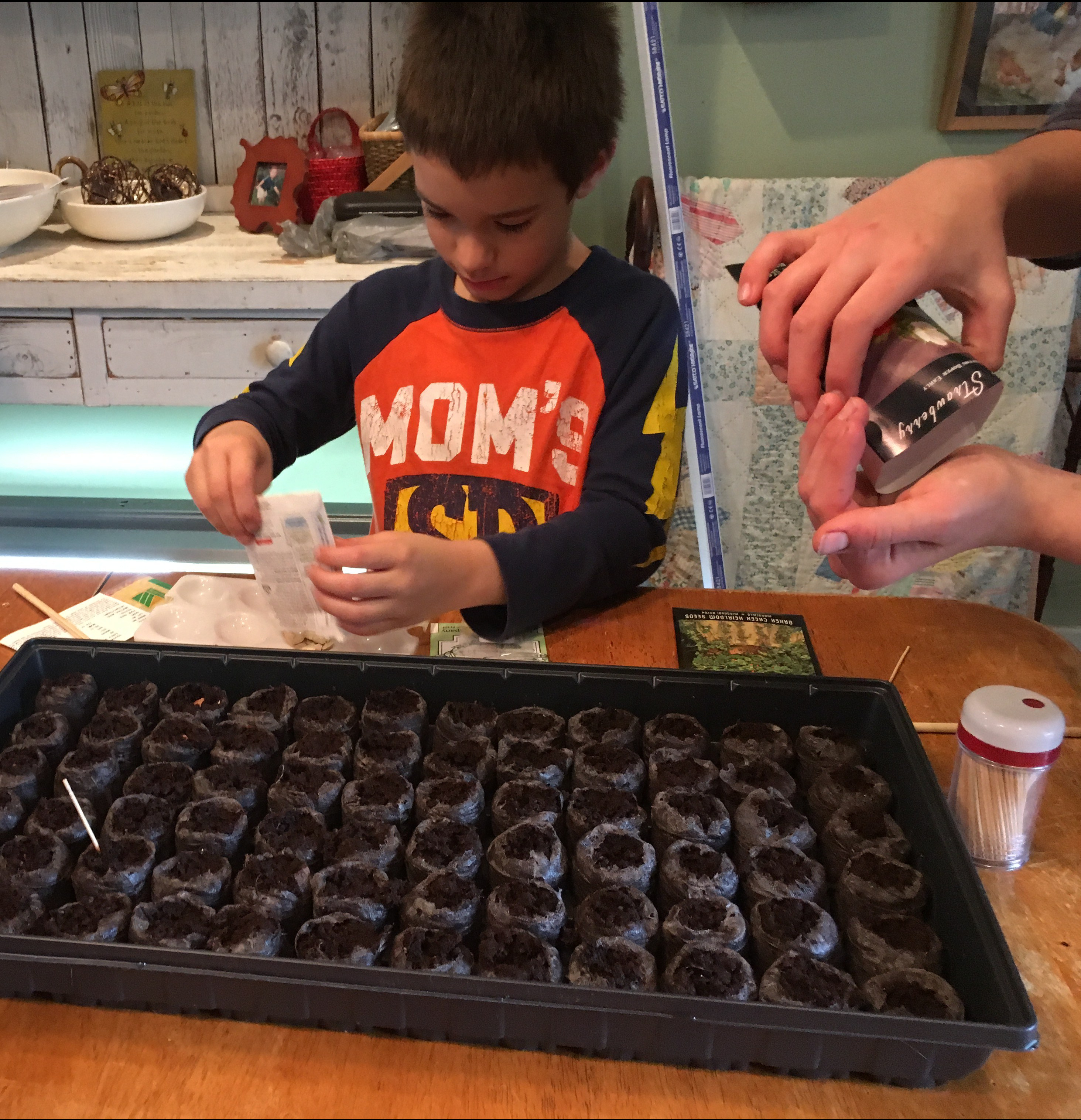 Step by Step plan on how to get your seeds started for a Spring Garden!