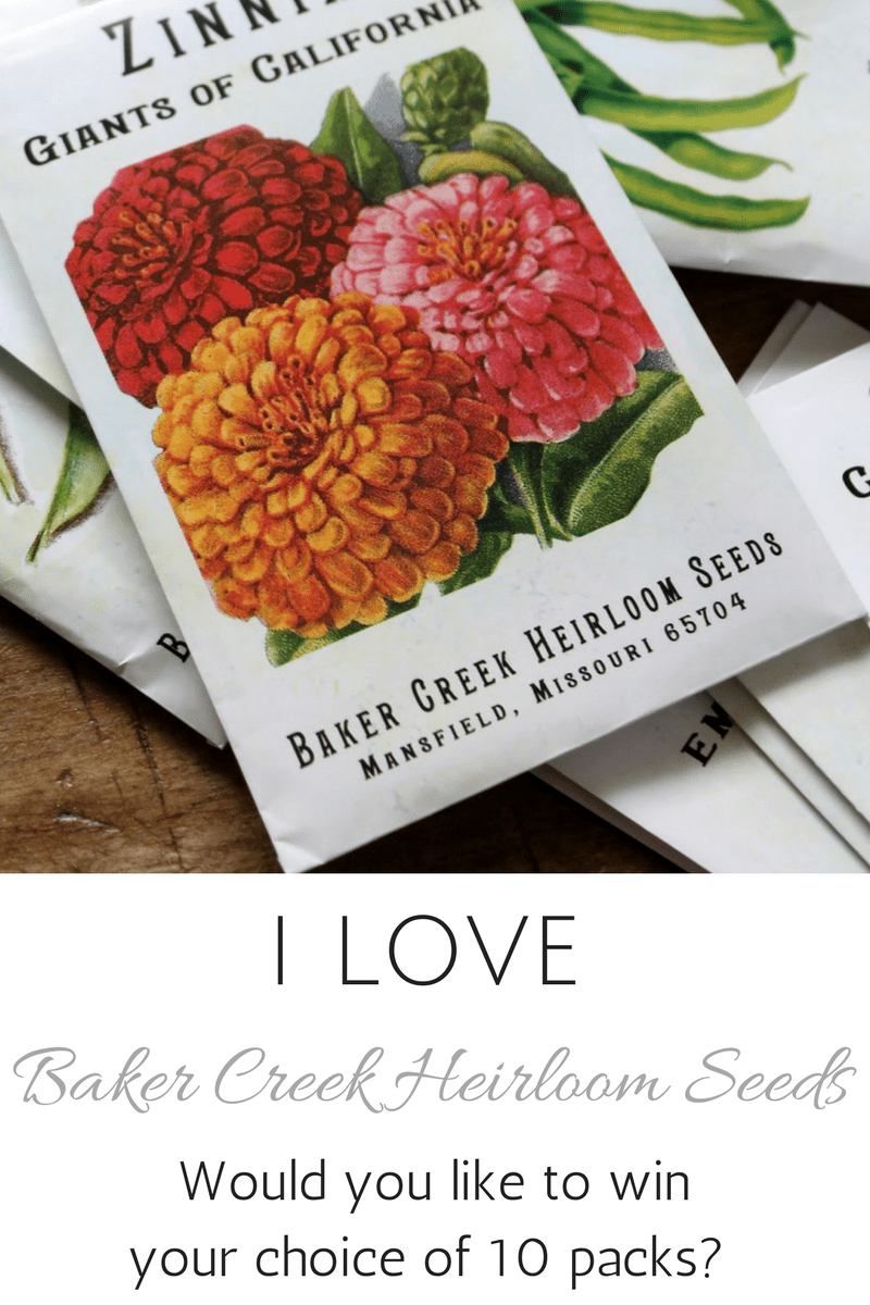 Find Out my Favorite Seed Company!