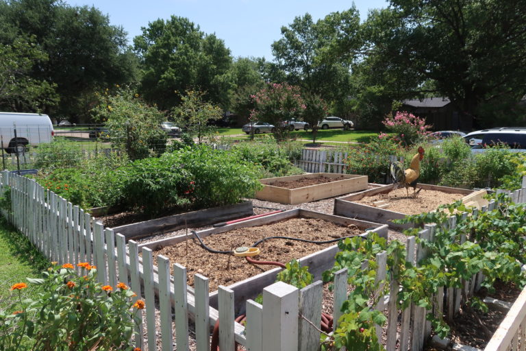 Rebuilding Raised Beds & A Flash to the Past; How the Front Yard Garden ...