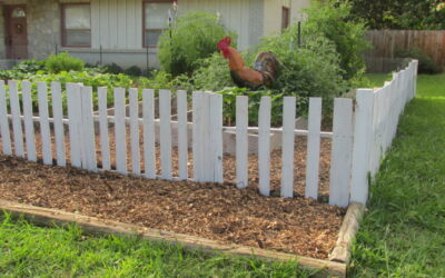 Dealing with city ordinances for my front yard garden : the dance